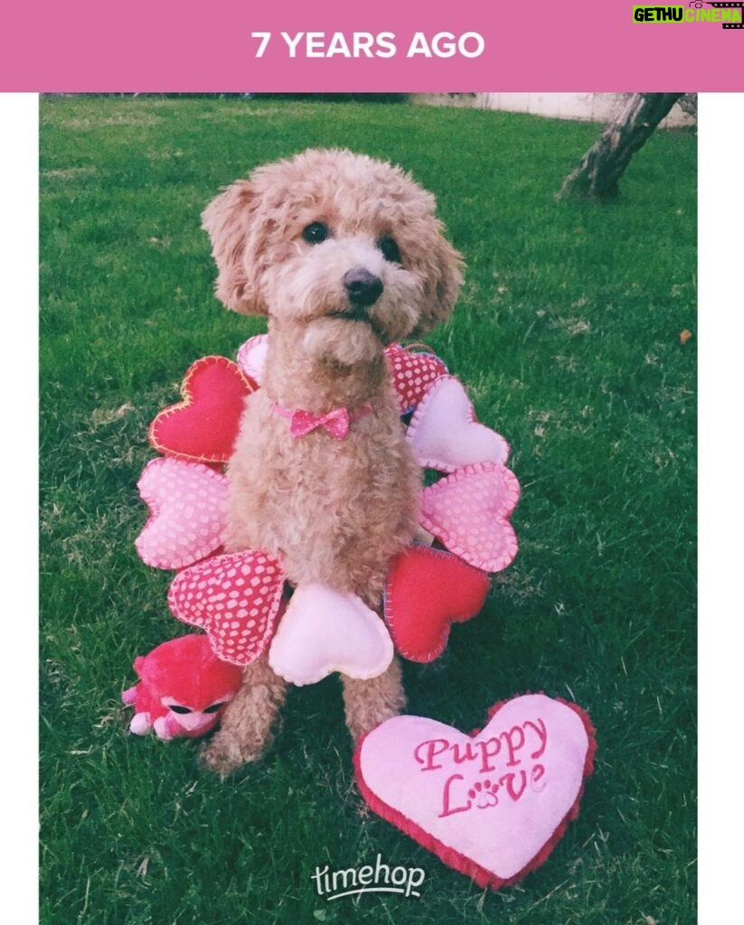 Emmy Buckner Instagram - Held on to this vday wreath 7 years for this 💝