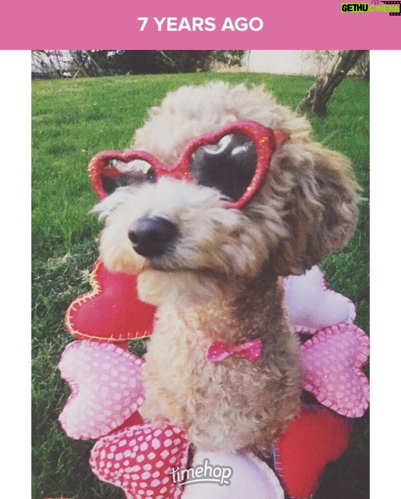 Emmy Buckner Instagram - Held on to this vday wreath 7 years for this 💝