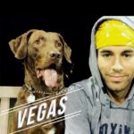 Enrique Iglesias Instagram - Las Vegas, Nevada