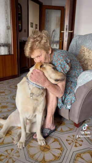 Enzo Salvi Instagram - I cani sono degli Angeli scesi dal cielo per condividere con noi la loro breve ed intensa Vita donando amore incondizionato ❤️ 
Proteggere e’ la più bella voce del verbo Amare 😘
Peggy & Nonna Bruna