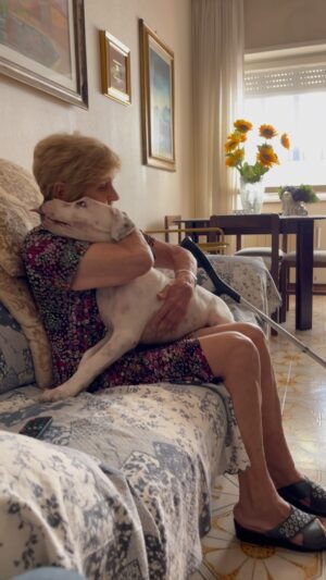 Enzo Salvi Instagram - Il piccolo Byron regala un sorriso a Nonna Bruna ❤️

“Le parole non possono descrivere la bellezza di un cane, ma un cane può descrivere la bellezza delle parole“.