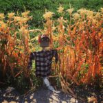 Erdal Küçükkömürcü Instagram - Ayas, Ankara