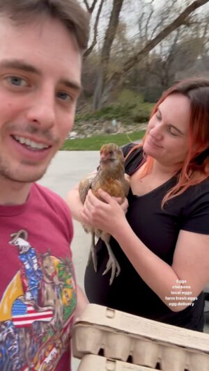 Eric Osmond Instagram - Would YOU like some local/farm fresh eggs too?! Hit us up! We can deliver. ☺️ 🐔 🥚 #farmfresheggs #utaheggs #fresheggs #eggdelivery #localeggs