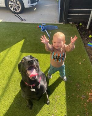 Eric Swalwell Instagram - As a member of the Congressional Animal Protection Caucus, I want to wish all our cuddly companions a Happy National Pet Day! 🐾