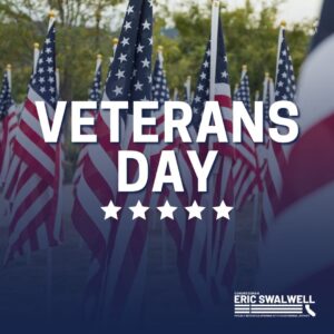 Eric Swalwell Instagram - Happy Veterans Day to our brave military, past and present. You and your families sacrifice so much to defend freedom. Thank you for your service to our country.