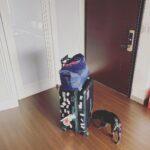 Esther Liu Instagram - #日常碎片 飛不停的九月 行程一直看不到終點 也到了九月的最後一天 總是有這麼幾個瞬間 時間彷彿凝結 確認了我的靈 確實存在於這世界 十月來了 我都來了 當然繼續勇往直前 🙋‍♀️ 最後一張是 @aiyalayotw 她榮登我 #外出工作必備 #吃貨推薦