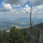 Evan Thomas Instagram - Long loooong hike in Santa Fe mountains! Got a bit turned around, and added a few extra miles of back tracking, but we made it. Just a simple 24 mile hike in hail and rain…everything’s fine 😂. Santa Fe, New Mexico
