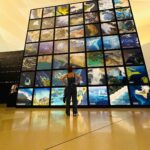 Fernanda Souza Instagram - Museu do Amanhã: 𝐓𝐄𝐌 𝐐𝐔𝐄 𝐈𝐑! Passeio lindo, inspirador, sensível, e reflexivo! Resgatei a influencer que mora em mim, já que falei que estarei mais “on” em 2023 e fiz vaaaarios Stories! Vai la veeeer! Tá legal! Ps. @arethaoliveiraoficial fazendo passeios turísticos comigo desde Mili e Pata!