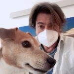 Francesco Apolloni Instagram - Eccoci qua, ho avuto il COVID anch’io in una forma abbastanza seria ora grazie a Dio sto meglio e sono negativo. fortunatamente non ho infettato nessuno . Scrivo questo post per ringraziare tutte le persone che mi hanno supportato e per dirvi cosa ho imparato . Ho imparato che il Covid e una cosa seria che non colpisce duramente solo gli anziani o chi è particolarmente fragile, ho imparato che tutti devono vaccinarsi , per rispetto di se stessi e degli altri. Dovrebbe essere la priorità del nostro paese vaccinare milioni di persone al mese . Ho imparato che bisogna rispettare le regole e le distanze. C ‘e un ospedale che è il Forlanini che stato un eccellenza per la cura dei polmoni che è da anni e chiuso va assolutamente riaperto, anche perché nessuno parla del fatto ... di chi cura i post Covid ? Questa e una malattia che può lasciare i segni . Voglio ringraziare tutte le persone che mi sono state vicino e mi hanno supportato @lucianonobili @noemi.dambrosi @shiatsumei la mia famiglia @luigiaalbina Vincenza Cavalloro Marcello , Saverio d Onofrio I dottori sempre disponibili e generosi @max_martelli ex primario del Forlanini , il mio amico Marco Biffoni ( policlinico ) , Quadrelli . La sanità pubblica va finanziata sostenuta e premiata ❤️