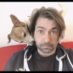 Francesco Apolloni Instagram – Un cane 🐶 ti ama incondizionatamente … un cane ti salva la vita … un cane ti insegna tate cose … un cane ti lava le orecchie 👂 #dog #jackrussell #love