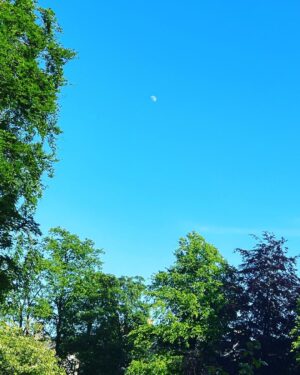Frankie Boyle Instagram - When The Moon is visible during the day it is called The Min. That’s the kind of false information I have fed my children from day one.