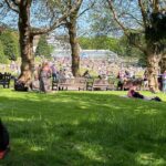 Frankie Boyle Instagram - Thronged in the park. Was fun in Covid when you could moan about this sort of scene for reasons other than your brutal misanthropy