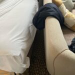 Frankie Boyle Instagram - Had to take my hotel room apart to find my glasses. It didn’t help that the carpet looked like a lot of pairs of dropped glasses. See if you can spot them, then test your family.