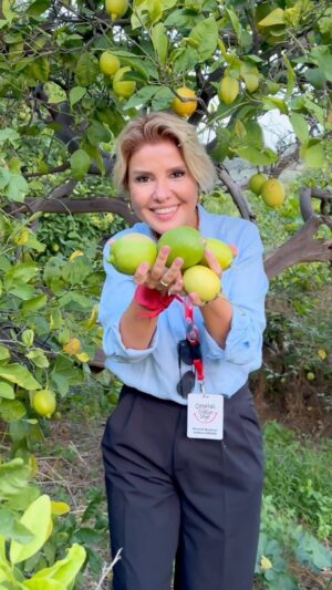 Gülben Ergen Instagram - Söz vermiştim! 
İskenderun’a gelirsem geleceğim demiştim. 
Arsuz da bir meyve bahçesindeyim. Aile geçimini bu sebze meyveleri satarak sağlıyor. 
Dalından buram buram kokan nefis mandalinalar, limonlar topladım. 

Deprem bölgesinde ayakta kalma mücadelesi veren üreticilerimizi, çiftçilerimizi desteklememiz çok önemli. Her yerde her fırsatta dile getirmeye özen gösteriyorum;

Depremi unutma, unutturma!

@emirin_limon_bahcesi 

#6şubat #depremiunutma #hatay