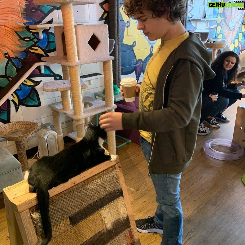 Gaten Matarazzo Instagram - Had a great time enjoying my morning beverage with these fur babies at @javacatscafe They’re all looking for homes, so go take a look ❤😺 Java Cats ATL