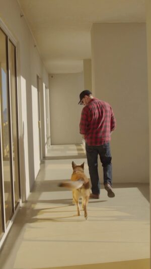 Gavin DeGraw Instagram - Any excuse to post about Buddy, my dog-son.