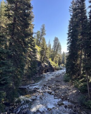 Gavin DeGraw Instagram - Life lately🌲🐾⛰️