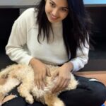 Gayathri Sri Instagram – Thangamee ❤️🐕 Chennai, India