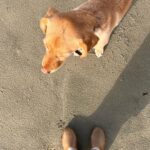 Genevieve Kang Instagram - I think I like this little life.