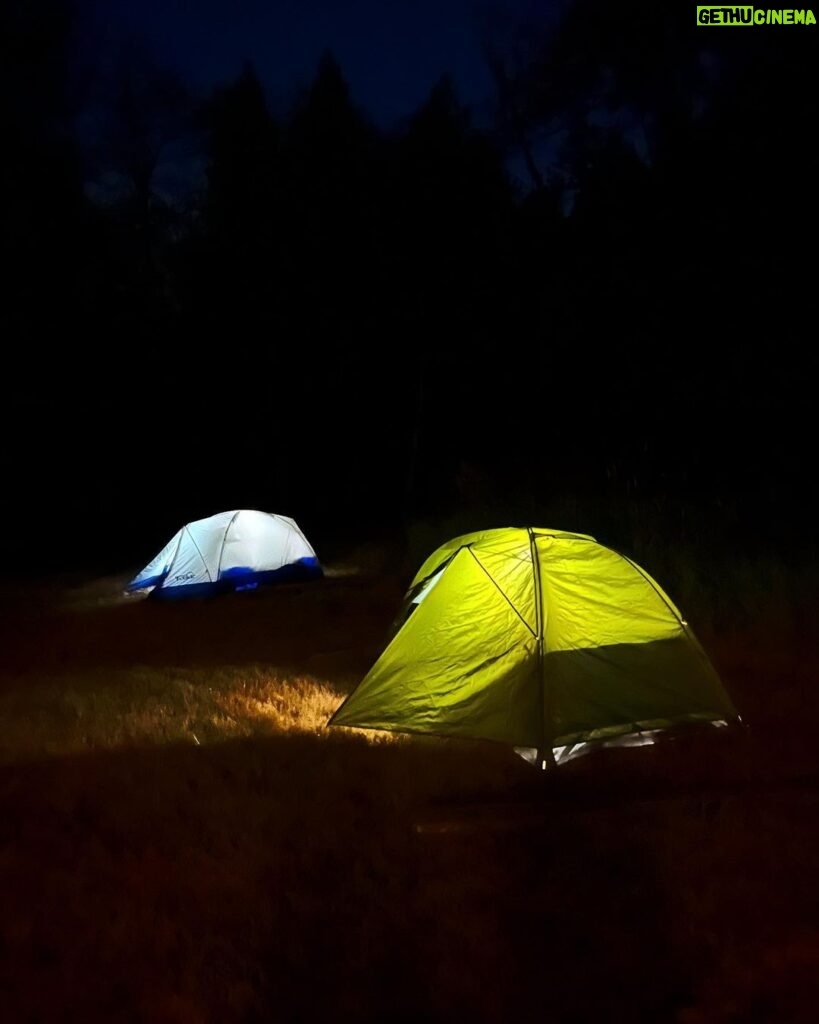 Genevieve Kang Instagram - earthing pods in the night. Saltspring Island