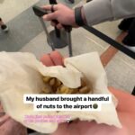 Genevieve Kang Instagram - NUTS 4 SALE. THE FAVE (AND FAMOUS) SWEET N SPICY FURIKAKE NUTS / organic walnuts, pecans, cashews, almonds, pumpkin seeds, maple syrup, chili pepper, and furikake, made while listening to solfeggio frequencies so you know they’re gooood! perfect for the holidays, to gift your friends or yourself (always recommend sharing though). limited stock of these flavour babies available for purchase, $17 or 2 for $30. swipe for ways to enjoy, DM to snag yours — shipping available and free local door delivery! x