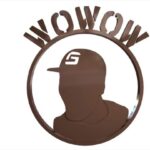 Geno Segers Instagram - 1 Million Subs???? #GetSum #GSWOW