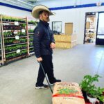Geno Segers Instagram - Getting ready for our garden this year with @starnurserylv #gardening Star Nursery