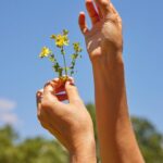 Gisele Bündchen Instagram - The love of plants and nature has been a big part of our family for generations. My grandmother passed down that knowledge and wisdom to my mother, who introduced me to the benefits of plants starting when I was a little girl. Today, I am proud to announce my partnership with @gaiaherbs. Gaia Herbs is a brand I have used for over twenty years, whose products are well known for their purity, potency, and high quality. This summer, I visited their farms and headquarters and witnessed their whole process up close. I was impressed by the sense of purpose in everyone I met! The dedication and intention they put in from the seed to the harvest and production were incredible. Somehow, I feel that I’m returning to my roots, and I am so excited to keep learning more every day about the awesome power of plants and herbs. When we take care of nature, nature takes care of us. I hope you will learn with me and benefit as much as I do from their wonders. 🌱✨ O amor pelas plantas e pela natureza tem sido uma grande parte da nossa família há gerações. Minha avó transmitiu esse conhecimento e sabedoria para minha mãe, que me apresentou os benefícios das plantas desde quando eu era pequena. Hoje tenho o orgulho de anunciar minha parceria com @gaiaherbs. Gaia é uma marca que utilizo há mais de vinte anos, cujos produtos são conhecidos pela sua pureza, potência e alta qualidade. Neste verão, visitei sua fazenda e sedes e testemunhei de perto todo o processo. Fiquei impressionada com o propósito de todas as pessoas que conheci lá! A dedicação e intenção que colocaram desde a semente até à colheita e produção foram incríveis. De alguma forma, sinto que estou voltando às minhas raízes e estou muito animada para continuar aprendendo mais, a cada dia, sobre o incrível poder das plantas e ervas. Quando cuidamos da natureza, a natureza cuida de nós. Espero que você aprenda assim como eu, e também se beneficie com suas maravilhas. #GaiaHerbs #partner