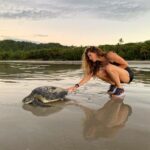 Gisele Bündchen Instagram - From planting trees, regenerating springs and depleted soils, and protecting turtles, jaguars … everything impacts nature. The power of nature comes from its diversity, and it depends on it for survival. Every form of life uniquely creates balance on Earth so all of life can flourish. Like with people, our differences are also our strengths, and we get stronger when we work together. Last year, I started a project called Biomes to help regenerate the biodiversity of Brazil. From north to south, east to west, we selected seven projects in different regions of the country. Each biome's species have an important role in nature because everything is connected. Now, together with The Luz Alliance Fund in partnership with @brazilfound on Saturday, May 20th in Miami, we are having a dinner to raise more funds to expand our efforts and have a more significant impact. 💚 Seja através do plantio de árvores, regeneração de nascentes e solos degradados, ou proteção de tartarugas, onças… temos tentado ajudar de diferentes formas, pois tudo impacta a natureza. O poder da natureza vem de sua diversidade e depende dela para sua sobrevivência. Cada forma de vida desempenha um papel especial no equilíbrio da Terra, possibilitando que todas as formas de vida possam prosperar. Assim como acontece com as pessoas, nossas diferenças também são nossos pontos fortes, e ficamos mais fortes quando trabalhamos juntos. No ano passado, iniciei um projeto chamado Biomas para ajudar a regenerar a biodiversidade do Brasil. De norte a sul, de leste a oeste, selecionamos 7 projetos em diferentes regiões do país porque sabemos da importância que cada bioma tem no todo, pois tudo está interligado. Agora, juntamente com @brazilfound, no dia 20 de maio, em Miami, teremos um jantar para arrecadar mais fundos para que possamos ampliar nossos esforços e ter um impacto ainda maior.