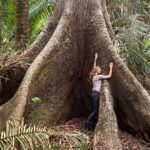 Gisele Bündchen Instagram - From planting trees, regenerating springs and depleted soils, and protecting turtles, jaguars … everything impacts nature. The power of nature comes from its diversity, and it depends on it for survival. Every form of life uniquely creates balance on Earth so all of life can flourish. Like with people, our differences are also our strengths, and we get stronger when we work together. Last year, I started a project called Biomes to help regenerate the biodiversity of Brazil. From north to south, east to west, we selected seven projects in different regions of the country. Each biome's species have an important role in nature because everything is connected. Now, together with The Luz Alliance Fund in partnership with @brazilfound on Saturday, May 20th in Miami, we are having a dinner to raise more funds to expand our efforts and have a more significant impact. 💚 Seja através do plantio de árvores, regeneração de nascentes e solos degradados, ou proteção de tartarugas, onças… temos tentado ajudar de diferentes formas, pois tudo impacta a natureza. O poder da natureza vem de sua diversidade e depende dela para sua sobrevivência. Cada forma de vida desempenha um papel especial no equilíbrio da Terra, possibilitando que todas as formas de vida possam prosperar. Assim como acontece com as pessoas, nossas diferenças também são nossos pontos fortes, e ficamos mais fortes quando trabalhamos juntos. No ano passado, iniciei um projeto chamado Biomas para ajudar a regenerar a biodiversidade do Brasil. De norte a sul, de leste a oeste, selecionamos 7 projetos em diferentes regiões do país porque sabemos da importância que cada bioma tem no todo, pois tudo está interligado. Agora, juntamente com @brazilfound, no dia 20 de maio, em Miami, teremos um jantar para arrecadar mais fundos para que possamos ampliar nossos esforços e ter um impacto ainda maior.