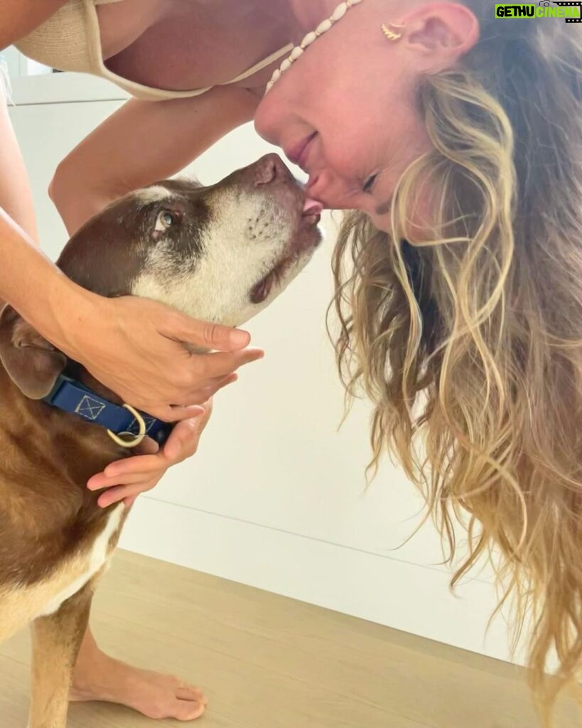 Gisele Bündchen Instagram - Pure love!! I am convinced they are little angels on Earth. Happy Valentine's Day to all! ❤️❤️❤️ Amor puro!! Tenho certeza que eles são anjinhos na Terra.
