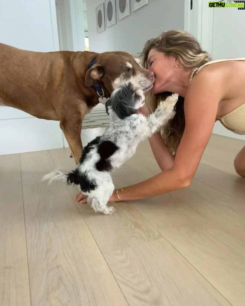 Gisele Bündchen Instagram - Pure love!! I am convinced they are little angels on Earth. Happy Valentine's Day to all! ❤️❤️❤️ Amor puro!! Tenho certeza que eles são anjinhos na Terra.