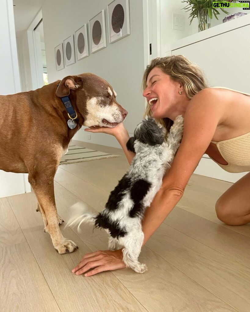 Gisele Bündchen Instagram - Pure love!! I am convinced they are little angels on Earth. Happy Valentine's Day to all! ❤️❤️❤️ Amor puro!! Tenho certeza que eles são anjinhos na Terra.