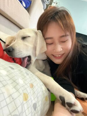Gladys Lee Instagram - 滿三個月，可以分享了😆

我當媽媽啦，女兒叫做Ula，是一隻奶油色拉拉，經過嚴謹的導盲犬寄養家庭申請程序（真的是三個月以上），遞交書面申請、電話溝通、家庭面試、成犬試養等四個階段之後，台灣導盲犬協會分派這隻U胎小天使給我，從15週大帶到一歲半左右正式上學，協助寶寶建立常規、服從、穩定，以及最重要的社會化訓練，穿上訓練中的紅背心搭公車、捷運、雙鐵、飛機，出入賣場、餐廳，熟悉複雜的人類環境（台灣的街道對幼犬難度真的好高！隨地都是煙蒂、檳榔渣，媽媽心累～），也讓寶寶在家都能保持穩定情緒；

導盲犬上學之前的階段，有賴志工家庭協助寄養工作，因為工作犬的養成很不容易，家長也要學習好多規則，更不捨的是一歲之後的分離才是考驗，所以寄養家庭並不好招募，但對我來說，這是人生中很棒的經驗和成長，是今年給自己的挑戰和生命禮物，謝謝好朋友們記得我的生日，有大家的祝福，相信今年一定平安健康，順利幸福，下回相約很有可能我會帶著Ula喲！

拍拍自己肩膀，加油打氣，媽媽我要加油，順利把寶寶帶大，讓她能成為出色優秀的工作犬 🦮

#導盲犬寄養家庭 #故事分享
#拉布拉多幼犬
#工作犬 #導盲犬
#換牙嘴很養的小寶寶