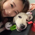 Gladys Lee Instagram - 四月最後一週的週三是 #國際導盲犬日，全球共同響應串連，提升整體社會對於 #導盲犬 #輔助犬 的共識與意識； Ula下個月要滿七個月，天天伸懶腰長高、散步玩耍長肌肉，隨時訓練、隨時教導也讓她長腦袋更機靈，天天帶著她探索人類社會，認識這個世界，我們一起蹲下來看麻雀，一起去機場觀景台聽飛機起降引擎聲，一起坐在公車站感受大型車進站的熱氣和開關門的氣壓聲，一起跟家人去海邊踩踩浪花、瘋狂挖沙坑，也搭101的電梯感受耳壓變化，我們到餐廳吃飯帶著她，就在一旁乖乖等待休息，她也跟著我外出工作，進出不同場合、大樓，她用小小的腳掌感覺地板材質的差異，勇敢的穿梭在街道上，直接面對所有的友善和不友善； 寄養家庭的任務是帶著幼犬社會化，並且落實所有基本訓練的指令，鼓勵幼犬盡可能探索，同時必須完全服從而且聽指令、有規矩，訓練老師給了我一個很好的觀念：「不是要孩子都不犯錯，而是犯錯後的提醒、糾正和學習。」狗狗表現完美也不吝於讚美、獎賞和鼓勵，要在狗狗心中建立權威，但卻不心生恐懼，愛她也尊重她，完全是愛的教育的實踐啊！ 我在想，教孩子應該跟導盲犬差不多吧？養過導盲犬會不會對生孩子更有信心呢？啊！導盲犬不會哭，更不會頂嘴，這應該是致命的差異🫢 🐾 To the guide dogs of the world – i hope you’re having a PAWE-SOME day! 🐾 Happy International Guide Dog Day! Ula is my first trainee puppy from @twguidedog. She will be turning 7 month old in two weeks. Everyday i watch her grow more mature and smarter and learn how to navigate the world. As puppy walker/family I couldn’t be more proud of my beloved baby Ula. We know the life-changing difference Guide Dogs make, and that’s why donation or volunteer work play important role within the training process. It's also an important day for businesses, industries and the wider community to recognize how a guide and assistance dog refusal can have serious implications for the immediate safety of a person with low vision or blindness. #GuideDog #AssistanceDog #InternationalGuideDogDay #GuideDogDay #U胎 #Ula #guidedog #eyeseeingdog #workingdog #labradorsofinstagram #labsofinstagram #labradoroftheday #yellowlab #yellowlabsofinstagram #labradorpuppy #whitelab #labsofinsta #yellowlabrador #blacklabrador #retriever #whitelab #拉布拉多 #導盲幼犬 #導盲幼犬寄養家庭