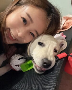 Gladys Lee Instagram - 四月最後一週的週三是 #國際導盲犬日，全球共同響應串連，提升整體社會對於 #導盲犬 #輔助犬 的共識與意識；

Ula下個月要滿七個月，天天伸懶腰長高、散步玩耍長肌肉，隨時訓練、隨時教導也讓她長腦袋更機靈，天天帶著她探索人類社會，認識這個世界，我們一起蹲下來看麻雀，一起去機場觀景台聽飛機起降引擎聲，一起坐在公車站感受大型車進站的熱氣和開關門的氣壓聲，一起跟家人去海邊踩踩浪花、瘋狂挖沙坑，也搭101的電梯感受耳壓變化，我們到餐廳吃飯帶著她，就在一旁乖乖等待休息，她也跟著我外出工作，進出不同場合、大樓，她用小小的腳掌感覺地板材質的差異，勇敢的穿梭在街道上，直接面對所有的友善和不友善；

寄養家庭的任務是帶著幼犬社會化，並且落實所有基本訓練的指令，鼓勵幼犬盡可能探索，同時必須完全服從而且聽指令、有規矩，訓練老師給了我一個很好的觀念：「不是要孩子都不犯錯，而是犯錯後的提醒、糾正和學習。」狗狗表現完美也不吝於讚美、獎賞和鼓勵，要在狗狗心中建立權威，但卻不心生恐懼，愛她也尊重她，完全是愛的教育的實踐啊！

我在想，教孩子應該跟導盲犬差不多吧？養過導盲犬會不會對生孩子更有信心呢？啊！導盲犬不會哭，更不會頂嘴，這應該是致命的差異🫢

🐾 To the guide dogs of the world – i hope you’re having a PAWE-SOME day! 🐾 Happy International Guide Dog Day! 

Ula is my first trainee puppy from @twguidedog. She will be turning 7 month old in two weeks. Everyday i watch her grow more mature and smarter and learn how to navigate the world. As puppy walker/family I couldn’t be more proud of my beloved baby Ula. 

We know the life-changing difference Guide Dogs make, and that’s why donation or volunteer work play important role within the training process. 

It's also an important day for businesses, industries and the wider community to recognize how a guide and assistance dog refusal can have serious implications for the immediate safety of a person with low vision or blindness.

#GuideDog #AssistanceDog #InternationalGuideDogDay #GuideDogDay #U胎 #Ula #guidedog #eyeseeingdog #workingdog #labradorsofinstagram #labsofinstagram #labradoroftheday #yellowlab #yellowlabsofinstagram #labradorpuppy #whitelab #labsofinsta #yellowlabrador #blacklabrador #retriever #whitelab #拉布拉多 #導盲幼犬 #導盲幼犬寄養家庭