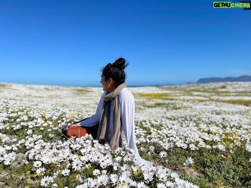 Golshifteh Farahani Instagram - Seeing these flowers, made me remember Lar lake and Damavand highlands in Iran. The wild puppy flowers the size of my head and the blanket of flowers around Lar lake. Being in this spring made me look back and think wow, finally I found somewhere which is at least comparable with the beauty and quantity of flowers back there. 😂 هيچ بهارى به زيبايى گل هاى دشت لار و شقايق هاى وحشى دماوند نميرسيد، تا بلاخره بهارى پيدا كردم كه حداقل قابل مقايسه با زيبايى گل هاى سرزمينم باشد. دلم براى چادر زدن در دشتِ شقايق با @aidanosrat لك زد