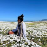 Golshifteh Farahani Instagram – Seeing these flowers, made me remember Lar lake and Damavand highlands in Iran. The wild puppy flowers the size of my head and the blanket of flowers around Lar lake. Being in this spring made me look back and think wow, finally I found somewhere which is at least comparable with the beauty and quantity of flowers back there. 😂 هيچ بهارى به زيبايى گل هاى دشت لار و شقايق هاى وحشى دماوند نميرسيد، تا بلاخره بهارى پيدا كردم كه حداقل قابل مقايسه با زيبايى گل هاى سرزمينم باشد. دلم براى چادر زدن در دشتِ شقايق با @aidanosrat لك زد