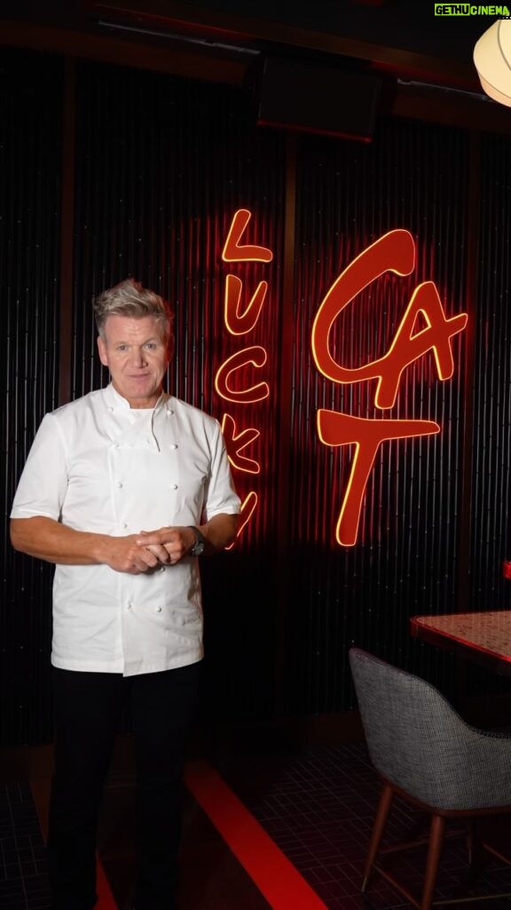 Gordon Ramsay Instagram - From Mayfair to Manchester, and now Miami !! @luckycatbygordonramsay Miami is officially open today - I can’t wait to see you there ! Lucky Cat Miami
