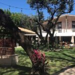 Grégory Fitoussi Instagram - Probably one of my favorite place in the world. @thegildediguana #costarica #paradise @alexandraschulke The Gilded Iguana - Hotel & Restaurant - Playa Guiones Costa Rica