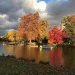 Grégory Fitoussi Instagram - L automne...