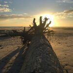 Grégory Fitoussi Instagram - Joyeux noël. @ericritter_consulting @yveshana @thegildediguana @thegildediguanastore @iguana_surfclub @alexandraschulke #puravida #costarica #sunset #friendship