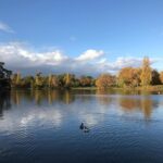Grégory Fitoussi Instagram - L automne...