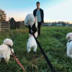 Grant Gustin Instagram - Can’t believe I’m writing this, but earlier this week we said goodbye to my best bud, Jett. Anyone that’s ever met Jett knew how special he was to me and what a special dog he was in general. There’s nothing I could write in a caption that could encapsulate the love I have for Jett, how much I’ll miss him, or the amazing run we had together. Jett and I found each other when he was 5 and I was 21, and he made it to almost 18 years old. He was one of my only constants during those (nearly)13 years. Leave some love for Jett if you knew him, and if you didn’t, just enjoy this very small collection of some of my favorite pictures of him. ♥️