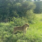 Gregg Sulkin Instagram – Day off 🎬 in Kenya Nairobi National Park