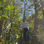 Greta Thunberg Instagram - Climate strike week 208. #FridaysForFuture #ClimateStrike