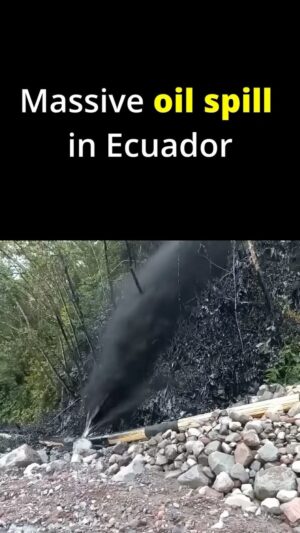 Greta Thunberg Instagram - In the heart of the Ecuadorian Amazon, for the second time in two years, the OCP pipeline has ruptured, spilling crude oil into the Coca and Napo rivers. For the 27,000 Indigenous Kichwa living downstream, this is a compounded nightmare. This spill could have been prevented, and this pipeline amidst the fragile Amazonian ecosystems should never have existed as we are well aware of the threats these pipelines make up. The Ecuadorian government talks of an “ecological transition”, but has still vowed to double the country’s oil production. It is time for governments to take real actions against the climate crisis and environmental disasters. Green slogans will not save us, and we will not be fooled.

A case brought after the first OCP spill in 2020 by the affected Kichwa communities is currently before Ecuador’s highest court, and it is essential that the Constitutional Court urgently resolve this case to ensure that environmental disasters like this do not occur again. Go to the link in my profile and tell the Ecuadorian Court that the Kichwa, and the Amazon, cannot wait any longer for justice!

#KeepItInTheGround
#PeopleNotProfit
#SOSDerrameAmazonía
@amazonfrontlines 
@confeniae 
@conaie 
@alianzaceibo
@nemonte.nenquimo