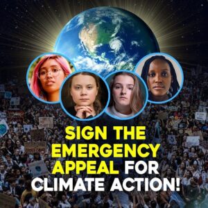 Greta Thunberg Instagram - “As citizens across the planet, we urge you to face up to the climate emergency. Not next year. Not next month. Now”

Join me and activists from all over the world and demand our leaders to face the climate crisis at #COP26 

Already more than 650 000 people have signed! Link in bio!