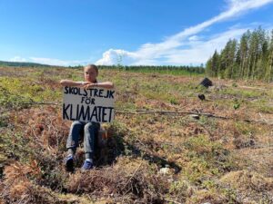 Greta Thunberg Instagram - School strike week 152. This week on a clear cut in Sápmi. Today the EU present the #EUForestStrategy . They will continue to allow clear cutting, they will call burning forest biomass “renewable” - worsening the climate- and ecological emergencies and ignoring indigenous rights and demands.
#schoolstrike4climate 
#MindTheGap
#climatestrike
#fridaysforfuture #FaceTheClimateEmergency #StopFakeRenewables
