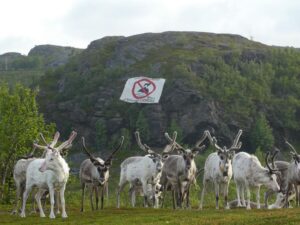 Greta Thunberg Instagram - This is Riehpovuotna/Repparfjord in the northern part of Sápmi, in Norway. The fjord is a protection area for the threatened Atlantic salmon. The Norwegian government has granted a permission to pump 2 million tons of toxic mining waste into the fjord annually. 

This will impact the local fisheries that are essential to the Sea Sami culture and will be yet another attack on them from the norwegian state. 
The mining company Nussir ASA has planned a mine in the mountain in the middle of reindeer guottetbáiki (where the calves are born), which therefore is crucial for the reindeer. 

There is currently an activist camp at Riehpovuotna and many people are resisting. 

Even though we must combat the climate crisis, this cannot be used as an excuse for so-called “green” colonialism with the same mindset that got us in this mess in the first place. #iifalnussir #reddrepparfjord #reddfjordene #savethefjords
Cred: @reddrepparfjord